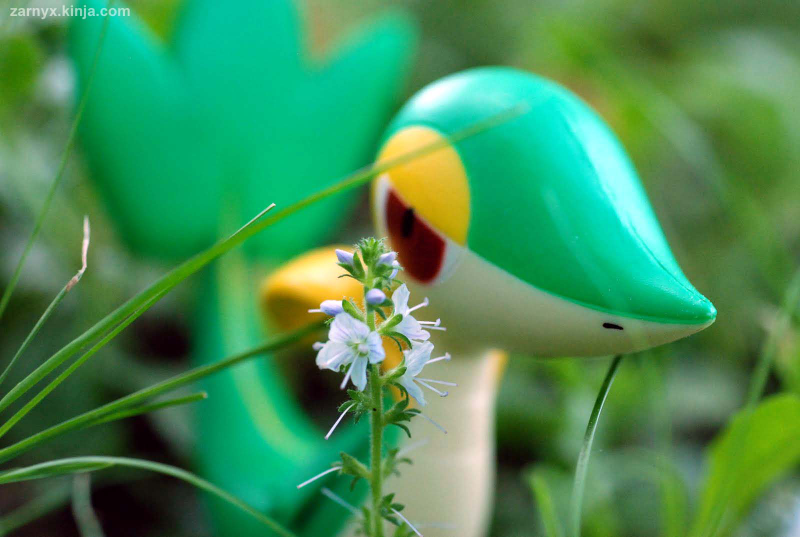Illustration for article titled Pokémon (OH) Snap!: Hiding in the Tall Grass...(Part II)
